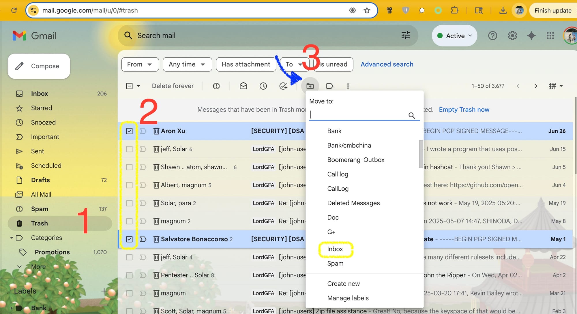 Gmail Undo a Bulk Delete