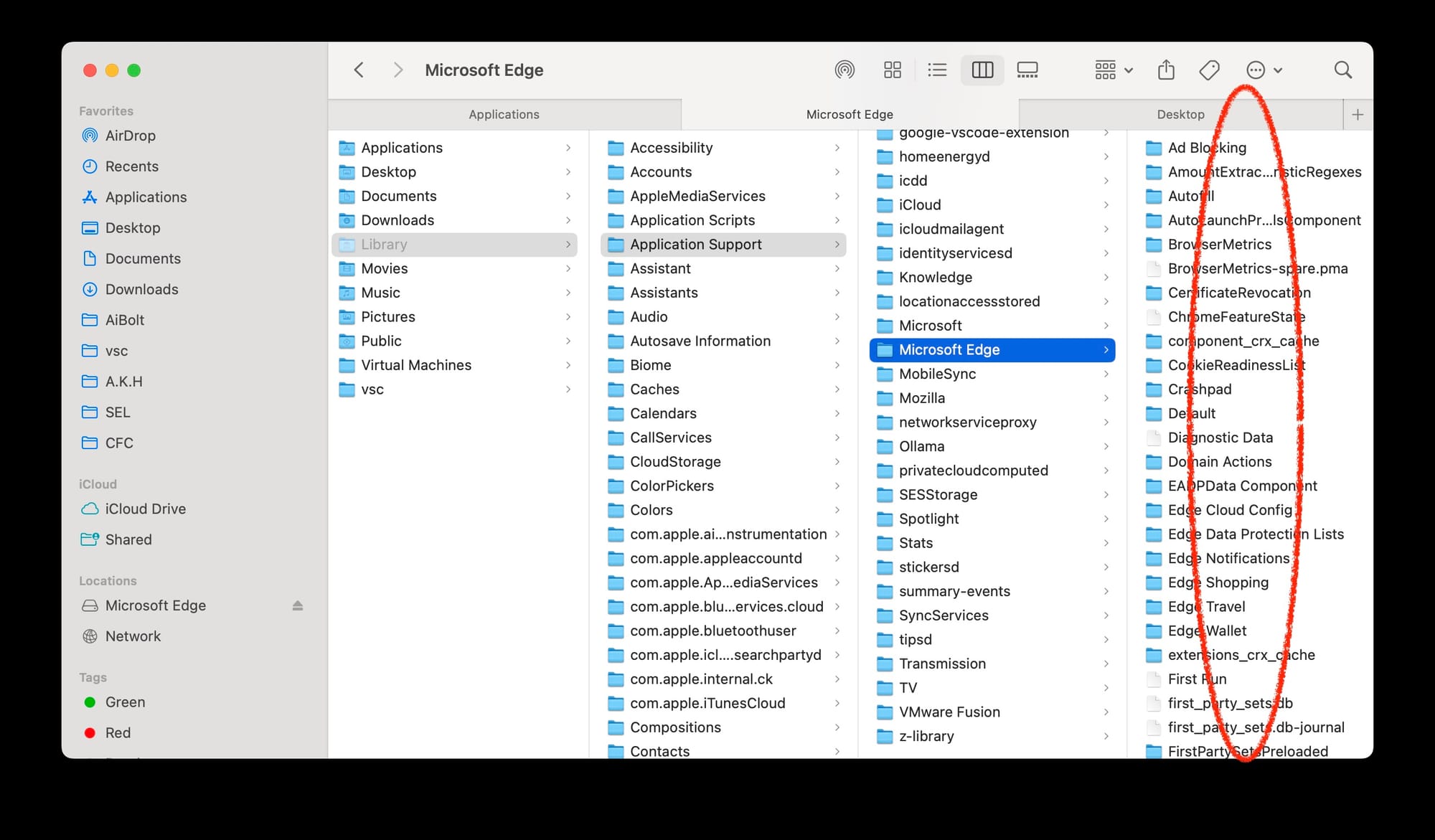 Part of Microsoft edge leftovers on Mac